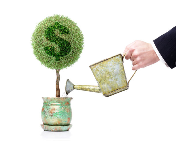 Conceitos de capital próprio e de capital de terceiros