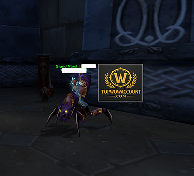 Scarab Lord Priest with Atiesh for Sale, Atiesh Druid for sale, Thunderfury Warrior for sale on Classic Anniversary Realm US