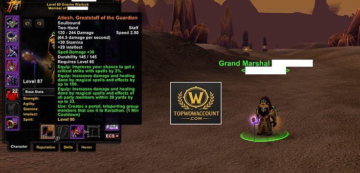 Scarab Lord Warlock, Atiesh Warlock for sale, Rogue with Thunderfury for sale - Warrior with Thunderfury for sale Classic Anniversary EU