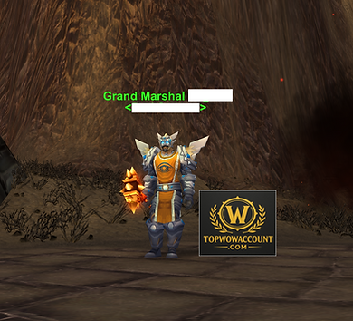 Thunderfury Paladin with Sulfuras Hand of Ragnaros for sale on Classic Anniversary WoW