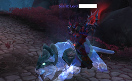 Best account in the World (of Warcraft) | Scarab Lord Druid | 23x Gladiator | All TCG Loot mounts | over 700 mounts | over 200 titles | www.topwowaccounts | buy wow acc eu | buy wow account eu | top wow account | great wow account | tbc wow account