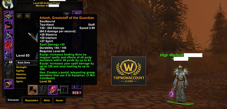 Scarab Lord Warrior with Atiesh Priest for sale on Classic Anniversary Realm - Thunderfury Rogue