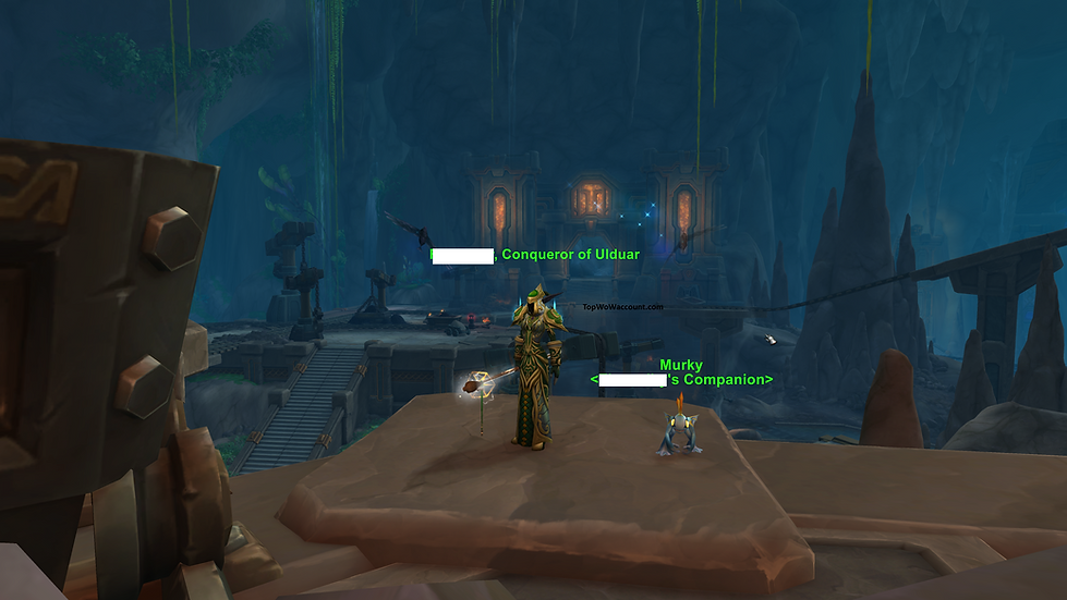 World of Warcraft: The War Within – Best WoW accounts for sale, including a legacy Druid with Atiesh, all artifacts unlocked, and full T3 gear. Best Druid account for sale.