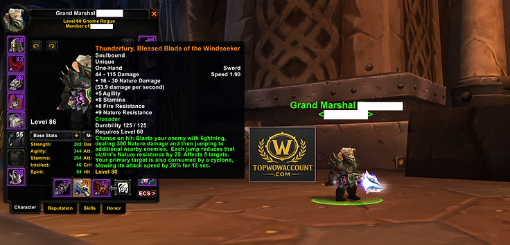 Scarab Lord Warrior for sale on Classic Anniversary realm, Thunderfury, Sulfuras Hand of Ragnaros, Thunderfury Rogue, Corrupted Ashbringer Hunter for sale