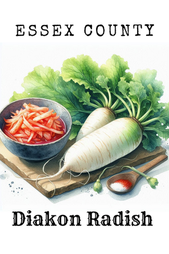 Diakon Radish / Each | Garant Greens