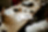 WORKSHOP-11.jpg