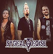 Sygnal To Noise