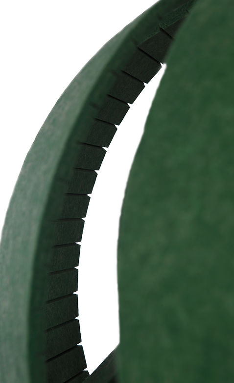 Blooom forest2.jpg