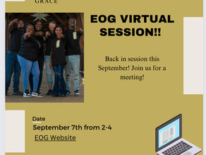 Virtual Scholar Meeting