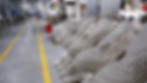 Production line
