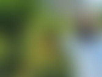 Café cultivado a 1.300 metros na Serra da Mantiqueira