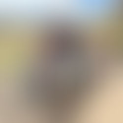 Ecuador & Galapagos Fam Trip with Andean Travel Company