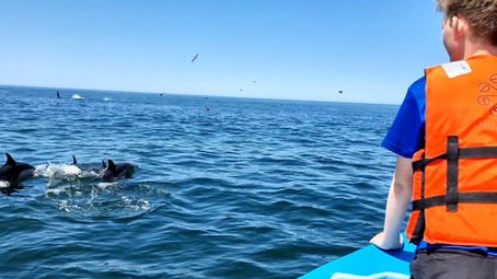 Adventures in Baja with Baja Expeditions
