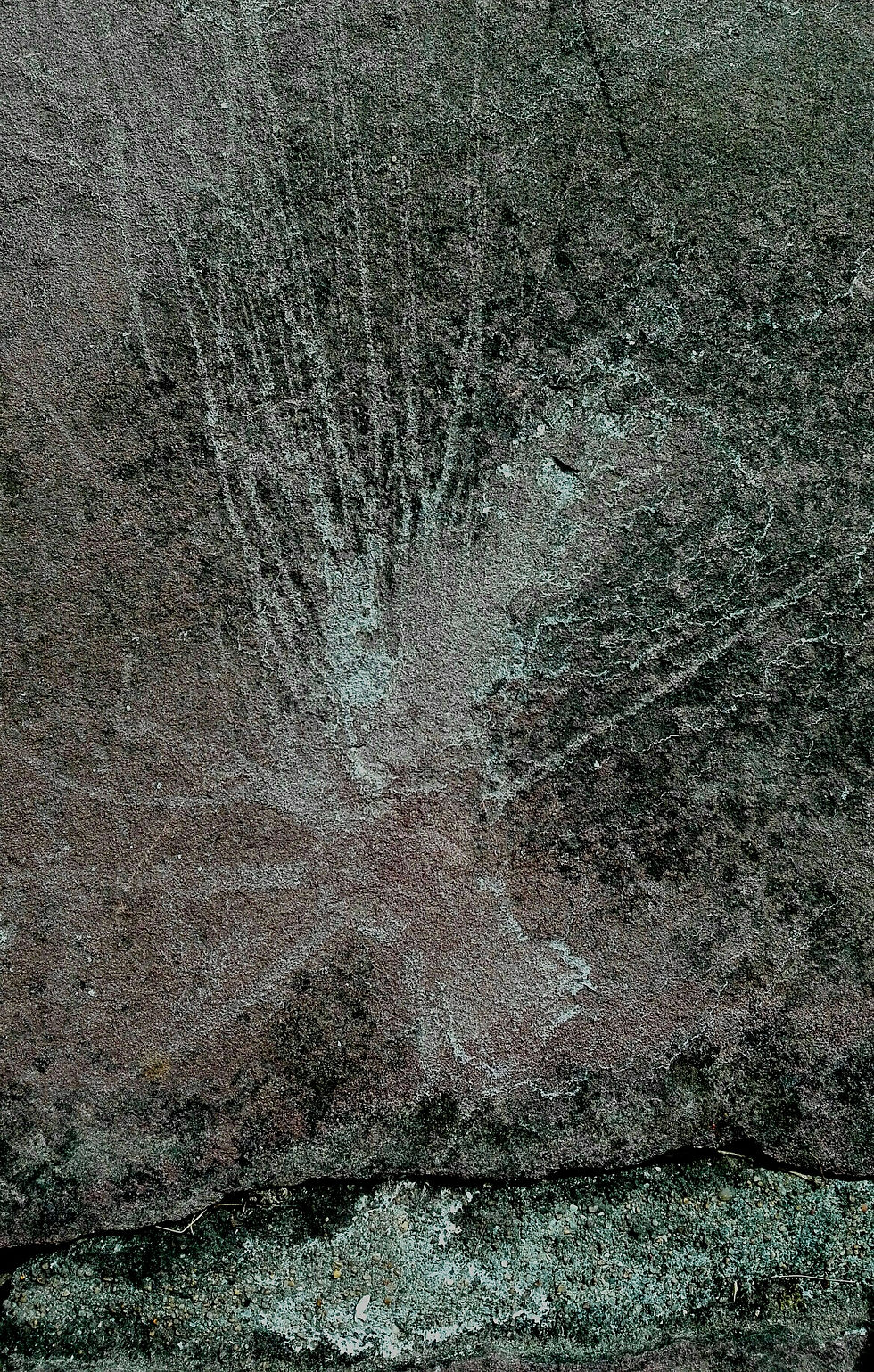 Aire des Pyrénées 2