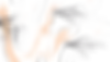 Brand-pattern_rgb.png