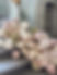 Tezza-5904 2.JPG