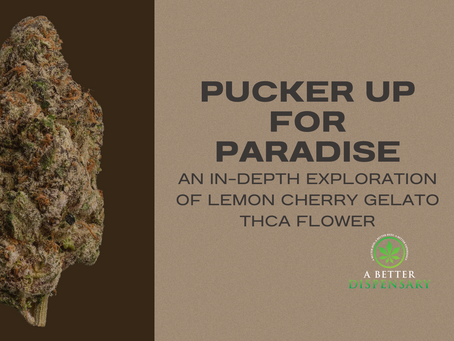 Pucker Up for Paradise: An In-Depth Exploration of Lemon Cherry Gelato THCa Flower