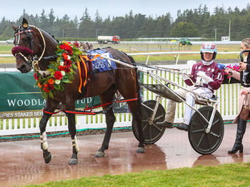 Southern Bred Southern Reared Winning Highlights 