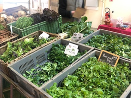 Seminar Report: Some Thoughts on “Retailing Without Waste” in Kyoto. (Part 2)