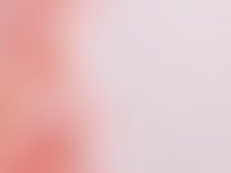 Learning from the Top Beauty Brands