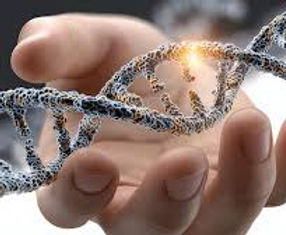 dna.jfif