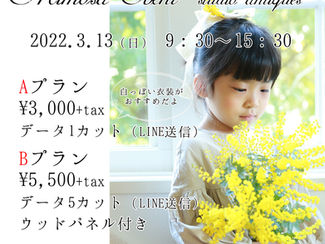 ミモザイベント　3/13