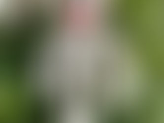 Monkey Business: A jeweler playing with clay?