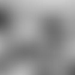 Professor Christian Barnard, heart transplant pioneer, and his wife.