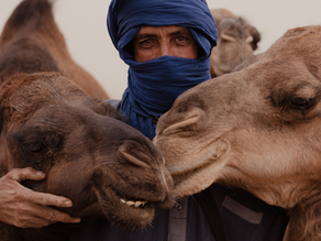 Sapien Stories: Bedouins of the Middle East