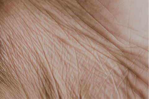 anti ageing skincare