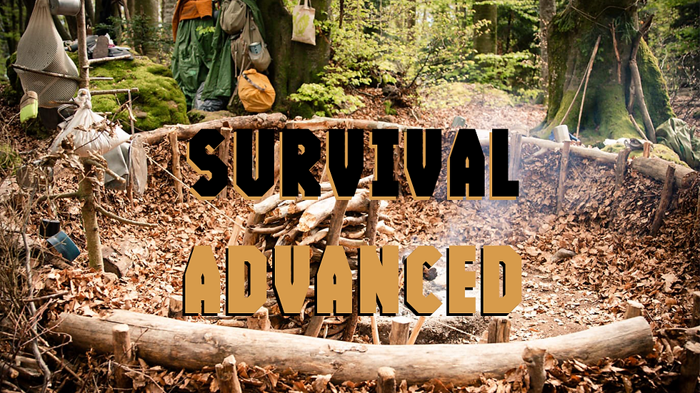 Survival Advanced
