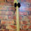 Thumbnail: NEW Fender Bass VI