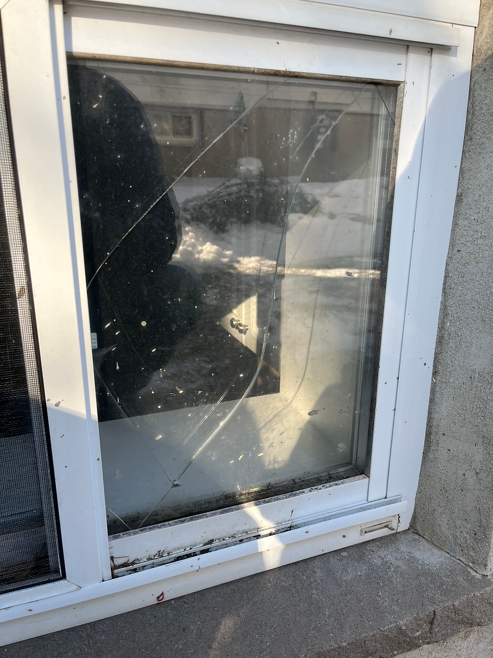 Glass repair
