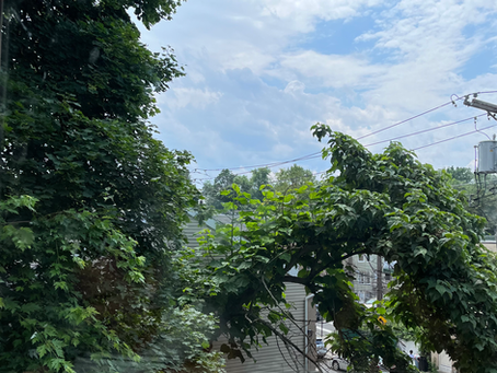 Best Window Glass Repair Services - The Window Depot 