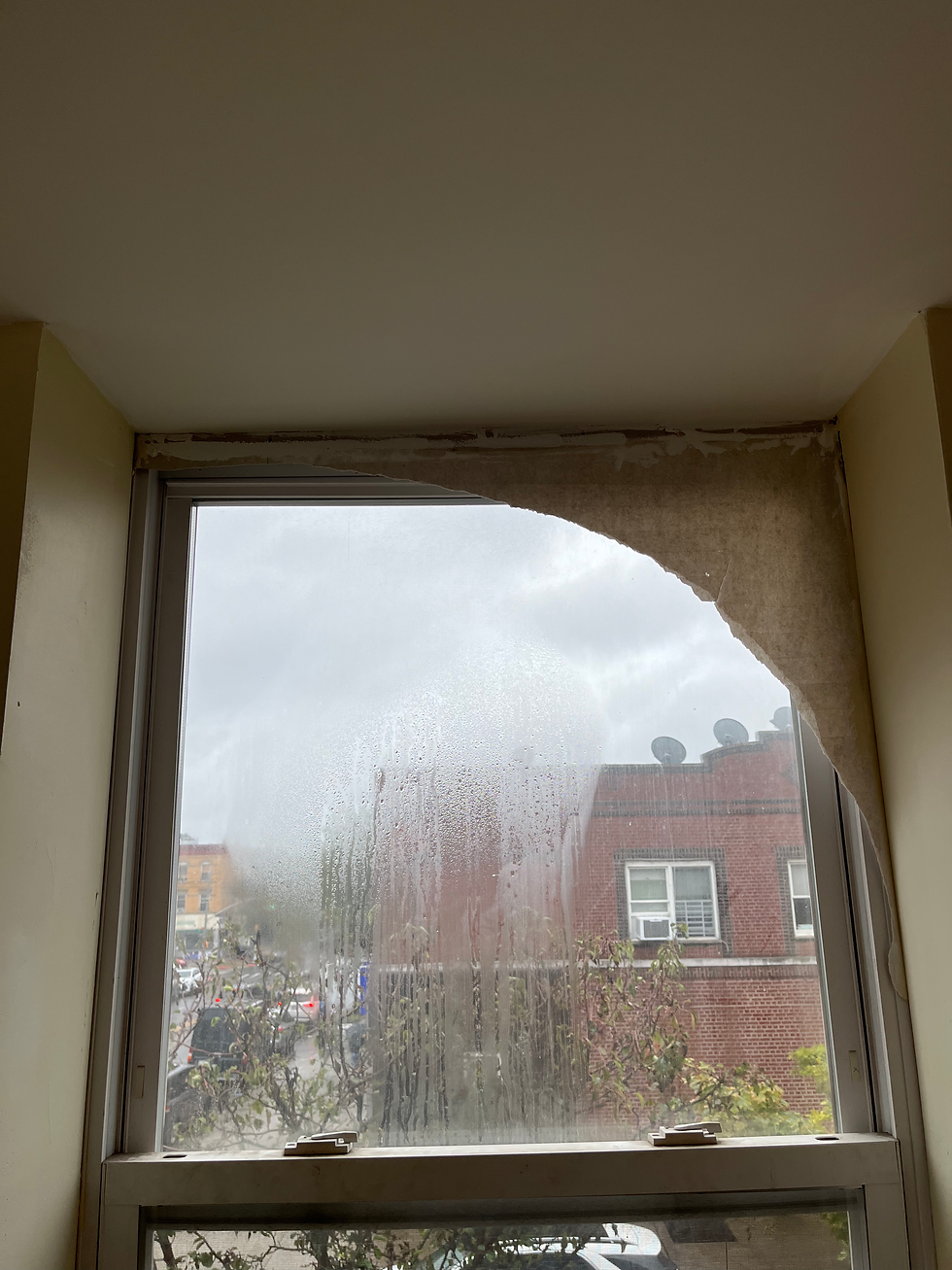 Foggy Window Glass