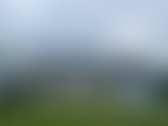 Elevating Spaces with Sierra Pacific Wood Windows