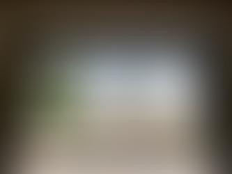 Best Window Repair Service