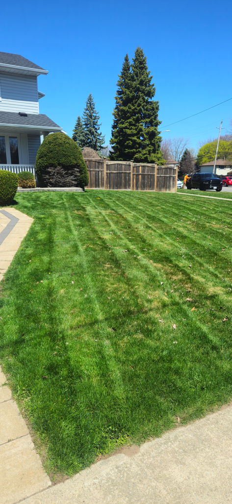 Lawn Care in Sarnia, ON