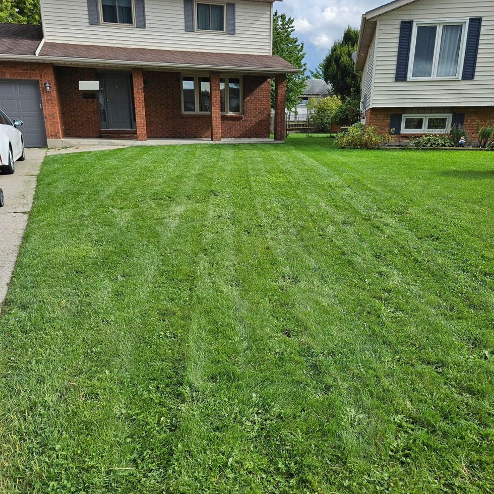 Lawn Care in Sarnia, ON