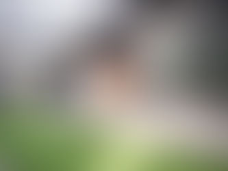 庭の可能性について