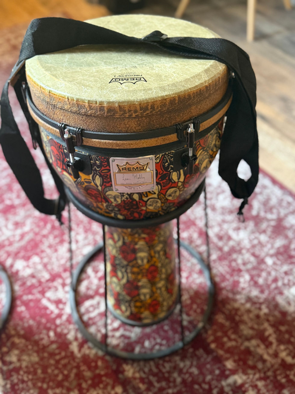 Remo mobley signature djembe