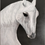 Thumbnail: White Pony