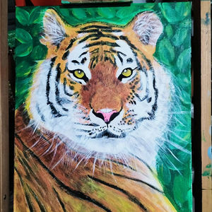 Tigers Gaze