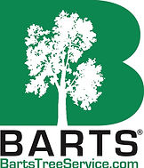 Jersey (Green Web Address) copy 2.jpeg