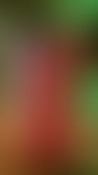 From Reporter to Empowerment Champion: The Inspiring Journey of Priyanka Banerjee....