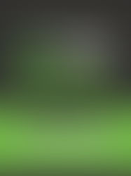 Introducing G+ MEMBER PRICE
