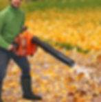 ree