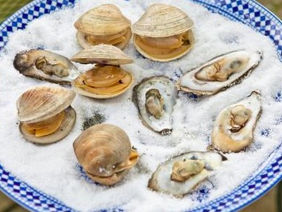 Long Island Sound Shellfish: A Backgrounder