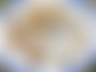 Long Island Sound Shellfish: A Backgrounder