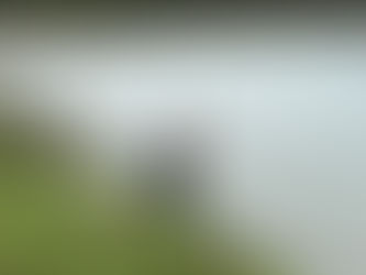 Stephanie Bontempi Cleans-up for Earth Day